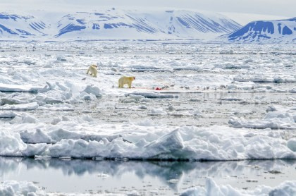 Around Spitsbergen - In the realm of Polar Bear & Ice