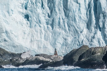 Antarctica - Elephant Island - Weddell Sea - Polar Circle