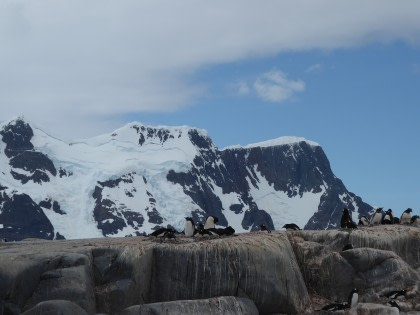 Pléneau Island#}