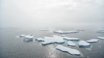 19 Days Extensive Arctic Ocean - North Spitsbergen Explorer