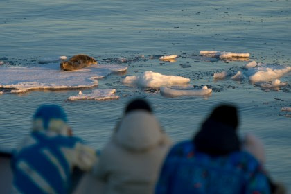 Arctische Oceaan, Aberdeen - Fair Isle - Jan Mayen - IJsrand - Spitsbergen, Vogelspotten - Zomerzonnewende