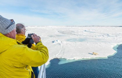 Norte de Spitsbergen, Buscando el oso polar y la bolsa de hielo, Observación de aves - Solsticio de verano