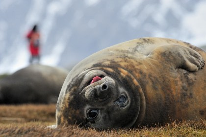 Bahía del Rey Haakon#}