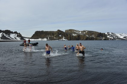 Polar plunge#}