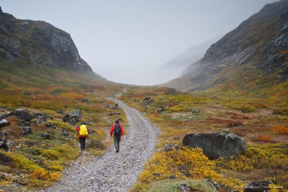 South & East Greenland Explorer