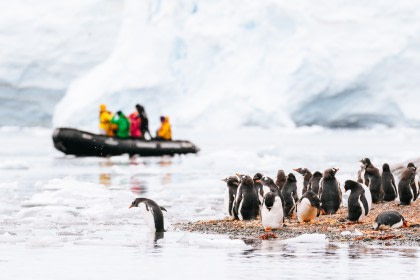 Antarctica - ontdekking en leerreis