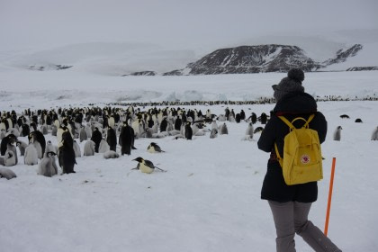 Mar de Weddell – En busca del pingüino Emperador, incl. Helicópteros