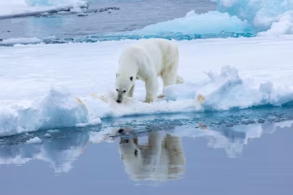 OTL11-24, trip log, Spitsbergen - Northeast Greenland - Aurora Borealis, Including Long Hikes