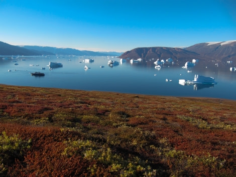 Amazing view to the fjord from the tundra