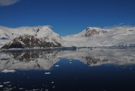 Neko Harbour © Jamie Scherbeijn - Oceanwide Expeditions.jpg