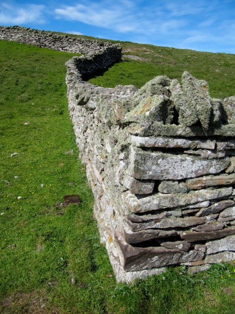 Rural Fair Isle