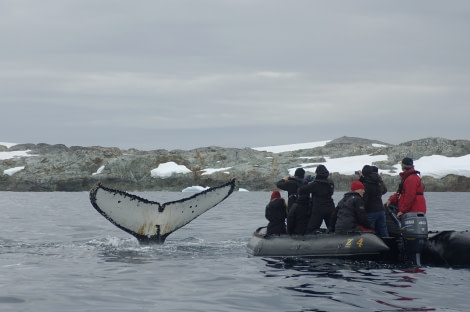 Zodiac cruising | Wildlife spotting