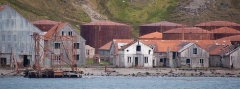 Grytviken