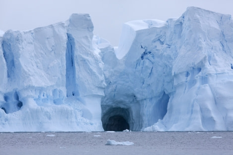 Huge icebergs