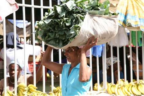 Greens of Cape Verdes