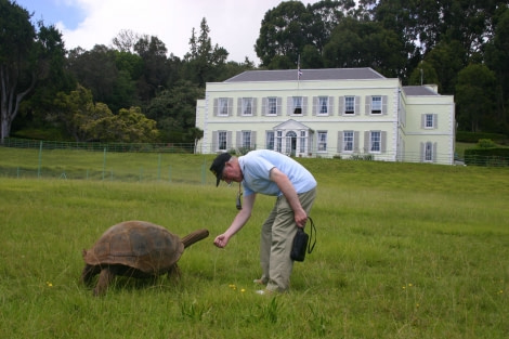 Visit the grounds of Plantation House (the Governor's residence) with Jonathan the turtle