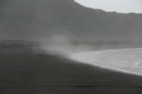 A typical beach on Whalers Bay