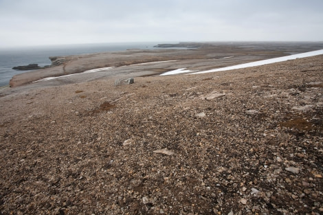 Southwest of Bear Island