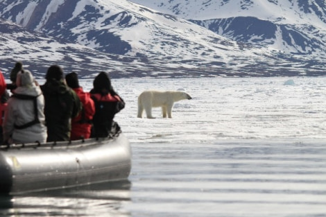 Zodiac cruising | Wildlife spotting