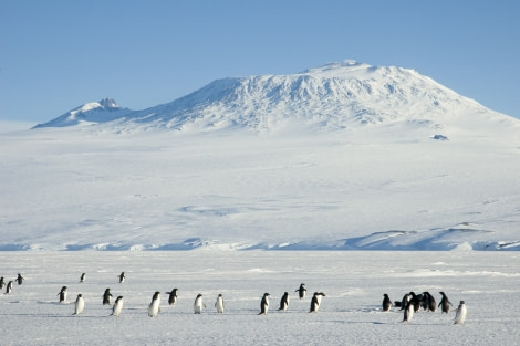 Mount Erebus, Ross Island, Ross Sea