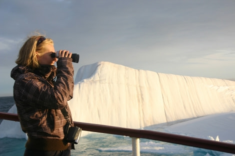 Bird watching from the vessel