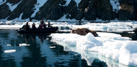 Perfect day for a zodiac cruise