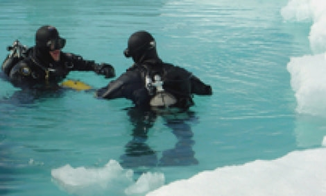 Polar diving