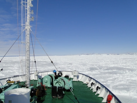 Sailing into the pack-ice