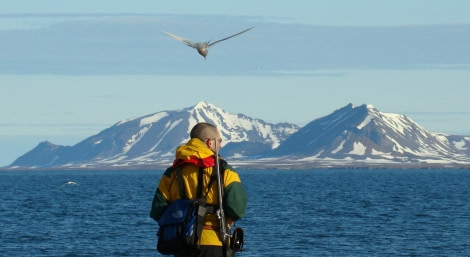 Bird watching, Svalbard