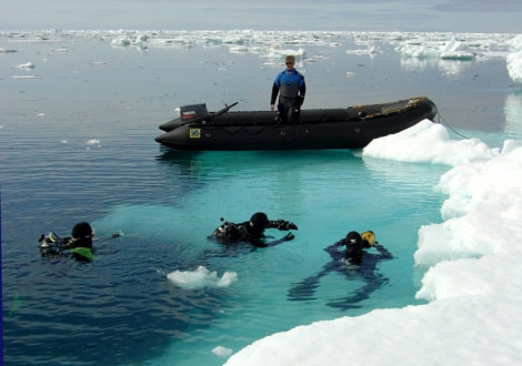 Polar diving