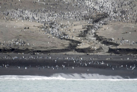 South Sandwich Islands