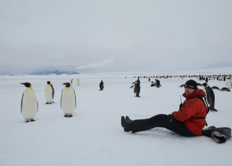 Observing the Emperor penguins