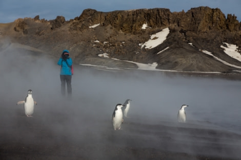 South Shetland Islands