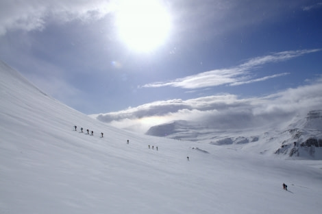 gallery_iceland_westfjords_ski & sail (c) folkert lenz-oceanwide expeditions (9).jpg