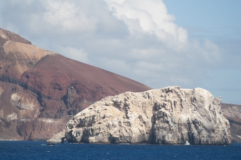 Boatswain Bird Island