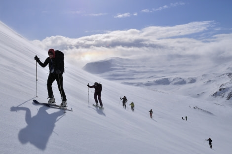 gallery_iceland_westfjords_ski & sail (c) folkert lenz-oceanwide expeditions (10).jpg