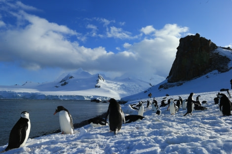 Weddell Sea