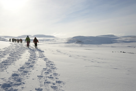 gallery_iceland_westfjords (c) lothar kutze-oceanwide expeditions (45).JPG