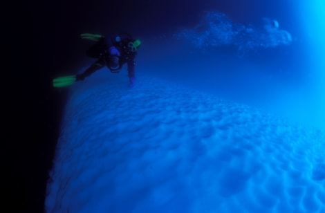 Polar Diving, Antarctica