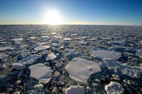 Ross Sea packice