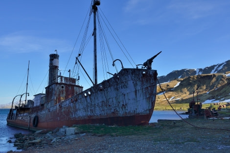 Grytviken_Old whalers boat_South Georgia_November