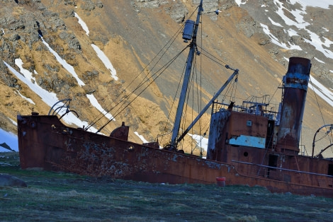 Grytviken_Old whalers boat_South Georgia_November