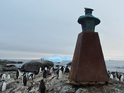 Point wild, Elephant Island © Ali Liddle - Oceanwide Expeditions.JPG