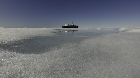 Ortelius in pack ice, Spitsbergen, July