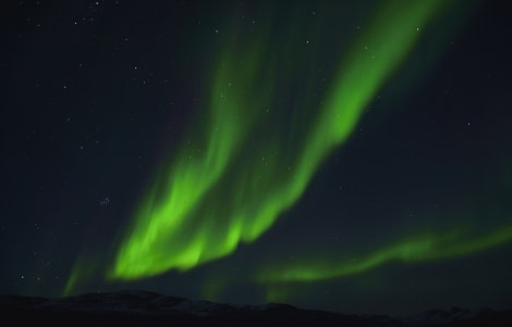 Aurora Borealis, Rypefjord, Scoresby Sund, September © Tobias Brehm-Oceanwide Expeditions (1).jpg