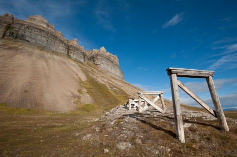 Alkhornet, Spitsbergen, July © Erwin Vermeulen-Oceanwide Expeditions (4).jpg