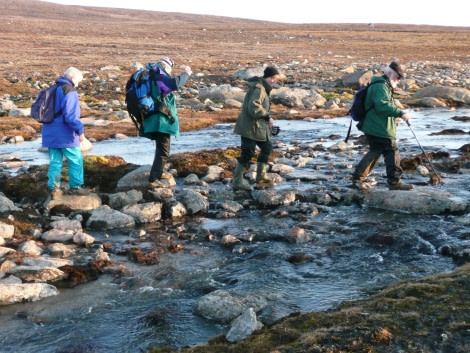 East Greenland, Tundra, Hike, September © Rob Tully-Oceanwide Expeditions.JPG