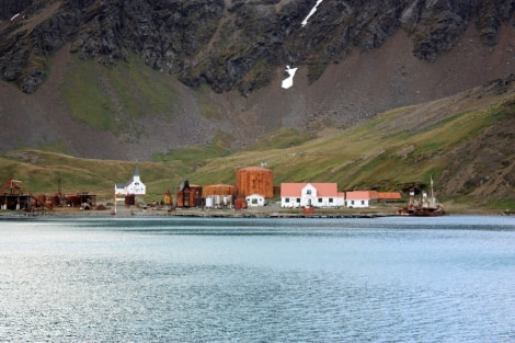 Grytviken, Whaling station, South Georgia, February © Femke Wolfert-Oceanwide Expeditions (2)