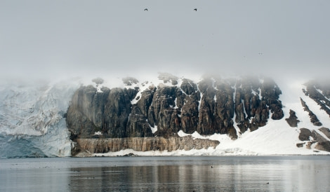 Spitsbergen, Bird Cliff, July © Erwin Vermeulen-Oceanwide Expeditions