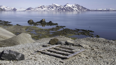 Spitsbergen, Gashamna, July © Christophe Gouraud-Oceanwide Exeditions